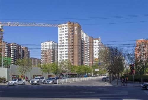 广东农业无土栽培便宜吗