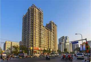 江苏电晕PET膜供货价格